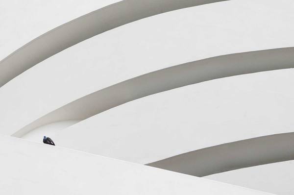 Photograph Chris Clor Bird on One Eyeland